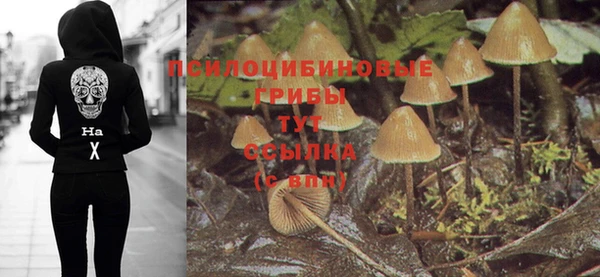 метадон Краснослободск