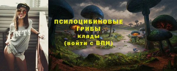mdpv Красноперекопск